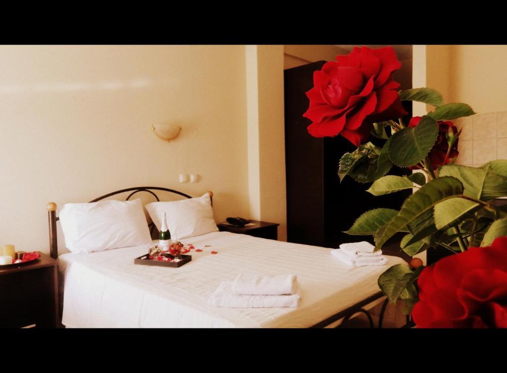 Estia Aparthotel Orestiada Room photo
